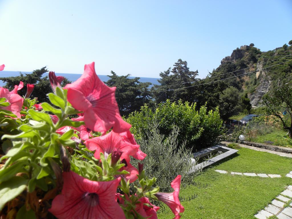 Corte Del Gallo Corniglia Esterno foto